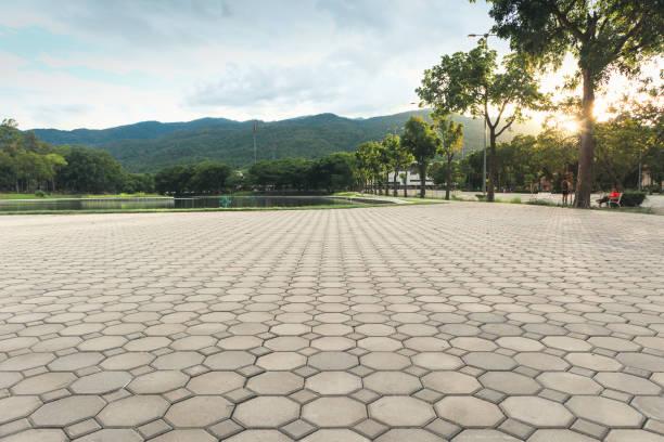 Best Driveway Pavers Near Me  in Southwest Ranches, FL